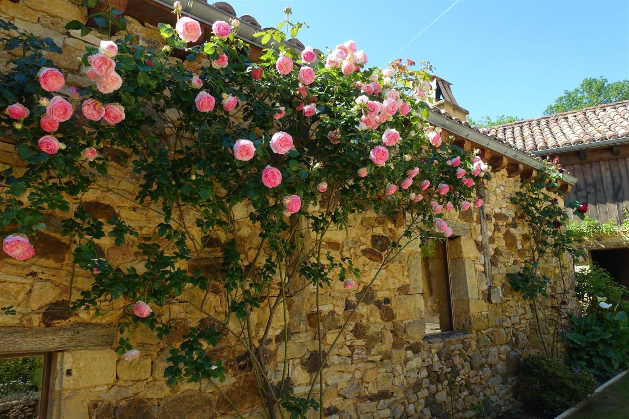 Les Vauries Domaine De Cournet Haut, A 17Th Century Property Set On A Calm, Idyllic Domain With Pool, Tennis, Bikes And More מראה חיצוני תמונה