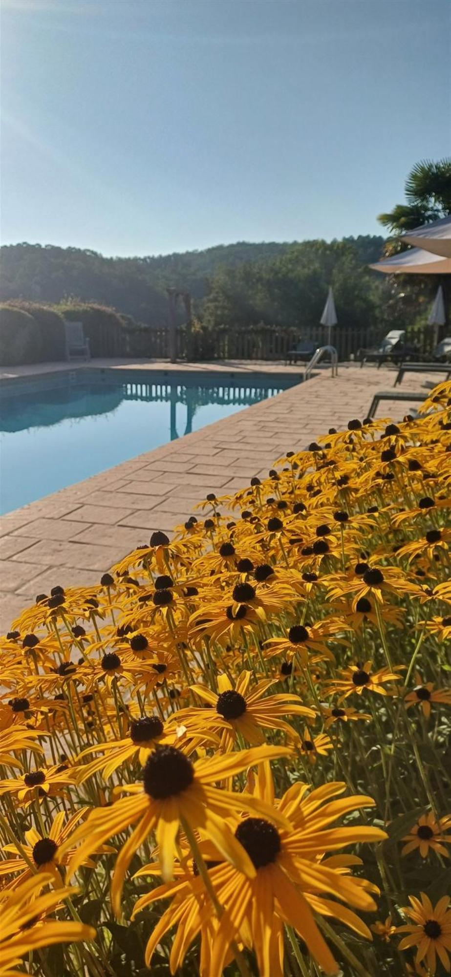 Les Vauries Domaine De Cournet Haut, A 17Th Century Property Set On A Calm, Idyllic Domain With Pool, Tennis, Bikes And More מראה חיצוני תמונה